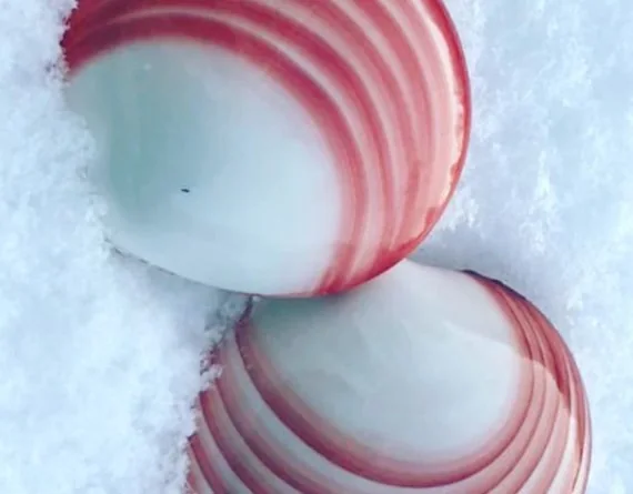 Two smooth pink and white massage shells on a white textile surface.